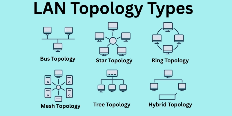 lan topology types