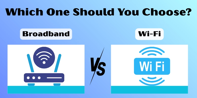 Which one Should You Choose?