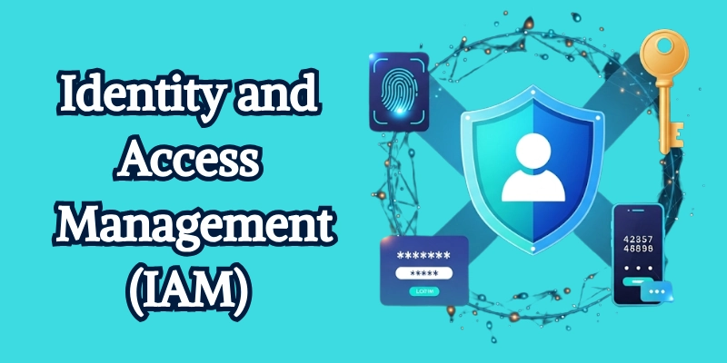 identity and acess management (IAM)