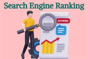 How to Improve Search Engine Ranking and Get More Traffic